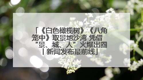 《白色橄榄树》《八角笼中》取景地沙湾 凭借“景、城、人”火爆出圈丨新闻发布最前线