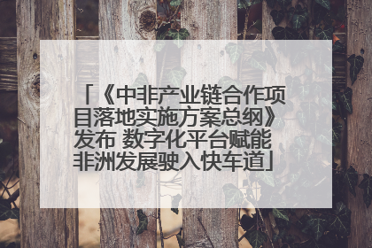 《中非产业链合作项目落地实施方案总纲》发布 数字化平台赋能非洲发展驶入快车道