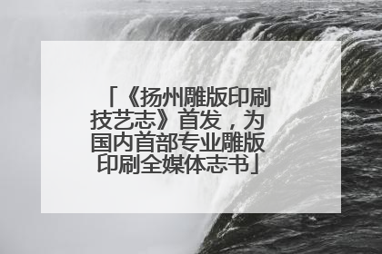《扬州雕版印刷技艺志》首发，为国内首部专业雕版印刷全媒体志书
