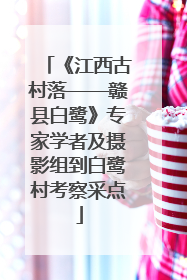 《江西古村落——赣县白鹭》专家学者及摄影组到白鹭村考察采点