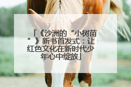 《沙洲的“小树苗”》新书首发式：让红色文化在新时代少年心中绽放