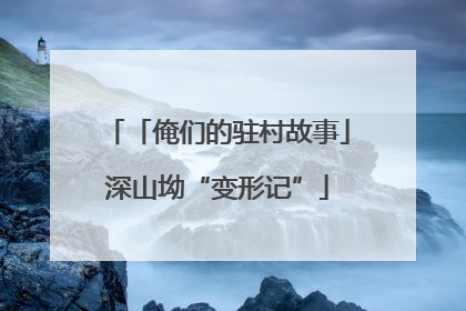 「俺们的驻村故事」深山坳“变形记”