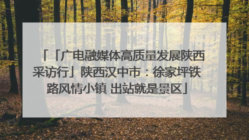 「广电融媒体高质量发展陕西采访行」陕西汉中市：徐家坪铁路风情小镇 出站就是景区
