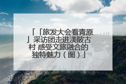 「旅发大会看青原」采访团走进渼陂古村 感受文旅融合的独特魅力（图）