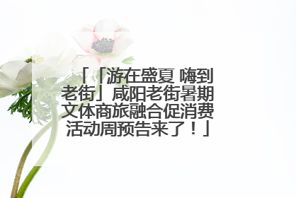 「游在盛夏 嗨到老街」咸阳老街暑期文体商旅融合促消费活动周预告来了！