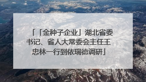 「金种子企业」湖北省委书记、省人大常委会主任王忠林一行到依瑞德调研