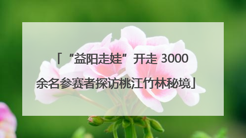 “益阳走娃”开走 3000余名参赛者探访桃江竹林秘境