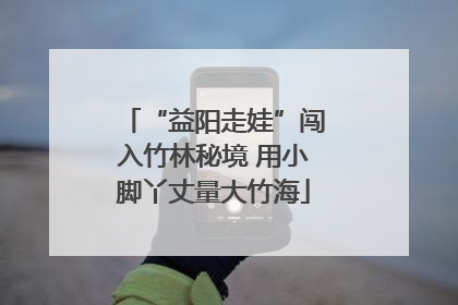 “益阳走娃”闯入竹林秘境 用小脚丫丈量大竹海