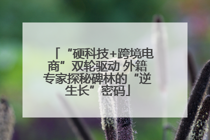 “硬科技+跨境电商”双轮驱动 外籍专家探秘碑林的“逆生长”密码
