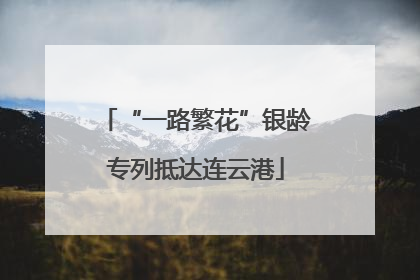 “一路繁花”银龄专列抵达连云港