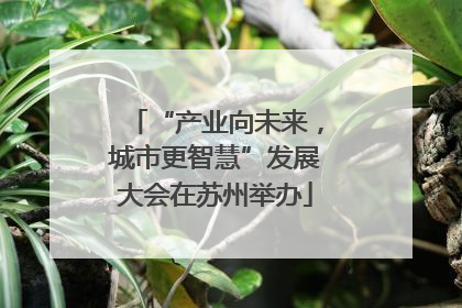 “产业向未来，城市更智慧”发展大会在苏州举办