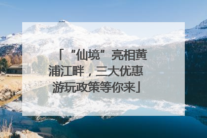 “仙境”亮相黄浦江畔，三大优惠游玩政策等你来