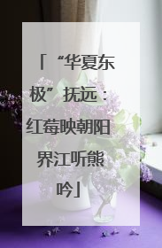 “华夏东极”抚远：红莓映朝阳 界江听熊吟