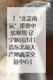 “北菜南运”重要中转枢纽 辽宁新民市打造东北最大产地蔬菜交易中心