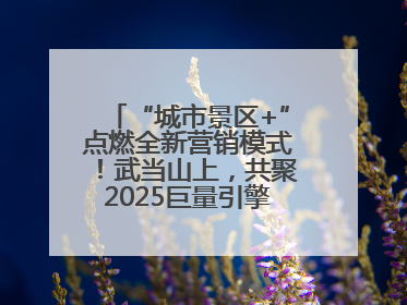 “城市景区+”点燃全新营销模式！武当山上，共聚2025巨量引擎城市生态大会！