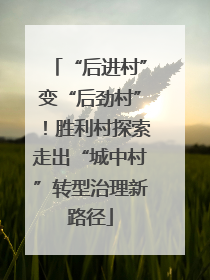 “后进村”变“后劲村”！胜利村探索走出“城中村”转型治理新路径
