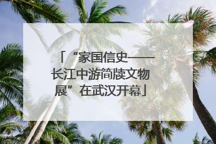 “家国信史——长江中游简牍文物展”在武汉开幕