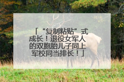 “复制粘贴”式成长！退役女军人的双胞胎儿子同上军校同当排长！