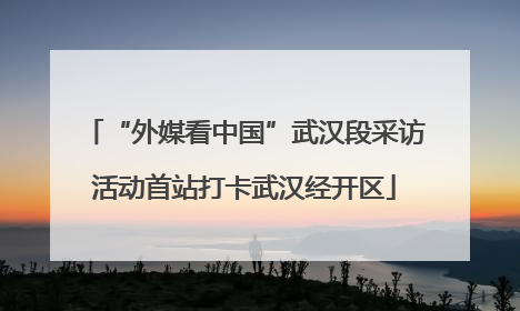 “外媒看中国”武汉段采访活动首站打卡武汉经开区