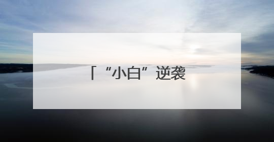 “小白”逆袭大“盈”家