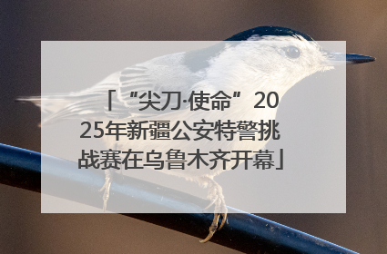 “尖刀·使命”2025年新疆公安特警挑战赛在乌鲁木齐开幕