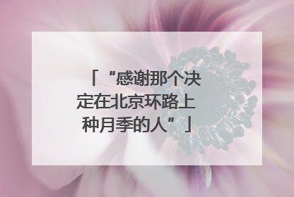 “感谢那个决定在北京环路上种月季的人”