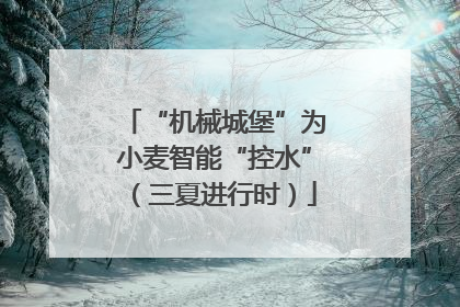 “机械城堡”为小麦智能“控水”（三夏进行时）