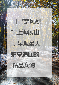 “楚风烈”上海展出，呈现最大楚墓追回的精品文物