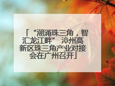 “潮涌珠三角，智汇龙江畔” 漳州高新区珠三角产业对接会在广州召开