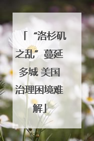 “洛杉矶之乱”蔓延多城 美国治理困境难解