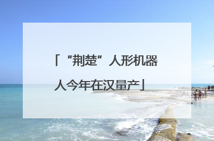 “荆楚”人形机器人今年在汉量产