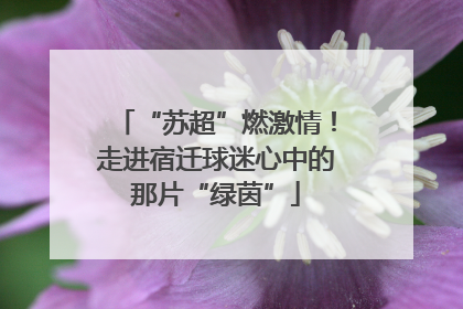 “苏超”燃激情！走进宿迁球迷心中的那片“绿茵”