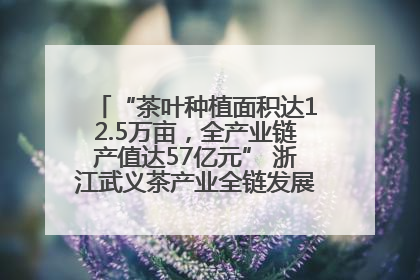 “茶叶种植面积达12.5万亩，全产业链产值达57亿元” 浙江武义茶产业全链发展“加速度”