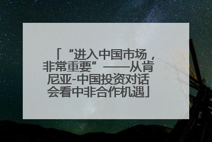“进入中国市场，非常重要”——从肯尼亚-中国投资对话会看中非合作机遇