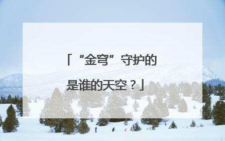 “金穹”守护的是谁的天空？