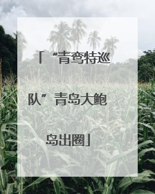 “青鸾特巡队”青岛大鲍岛出圈