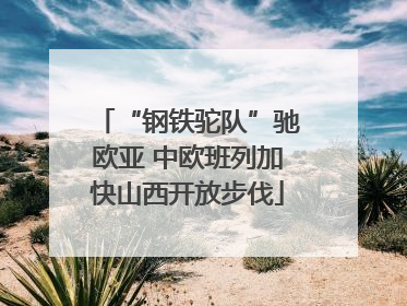 “钢铁驼队”驰欧亚 中欧班列加快山西开放步伐