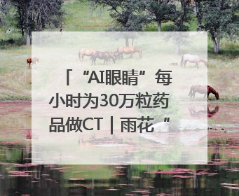 “AI眼睛”每小时为30万粒药品做CT｜雨花“创”世代
