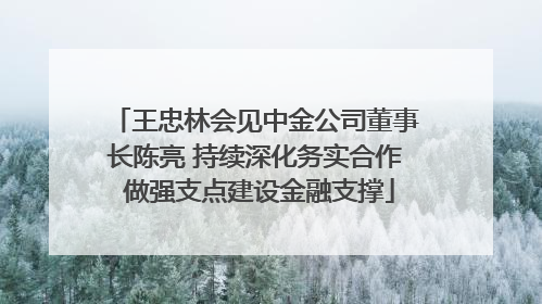 王忠林会见中金公司董事长陈亮 持续深化务实合作 做强支点建设金融支撑