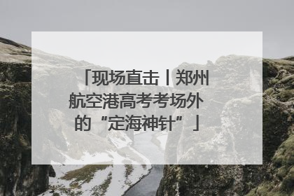 现场直击丨郑州航空港高考考场外的“定海神针”