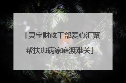 灵宝财政干部爱心汇聚 帮扶患病家庭渡难关