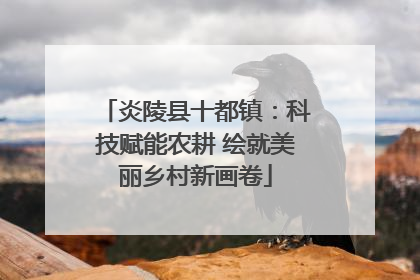 炎陵县十都镇：科技赋能农耕 绘就美丽乡村新画卷