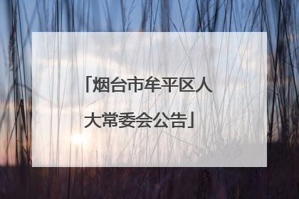 烟台市牟平区人大常委会公告