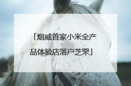烟威首家小米全产品体验店落户芝罘
