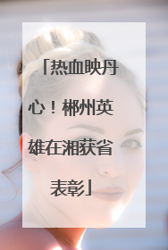 热血映丹心！郴州英雄在湘获省表彰