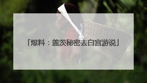 爆料：盖茨秘密去白宫游说