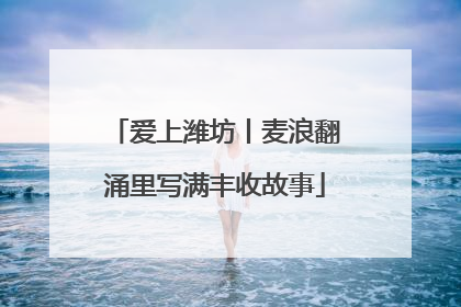 爱上潍坊丨麦浪翻涌里写满丰收故事