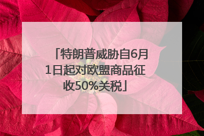 特朗普威胁自6月1日起对欧盟商品征收50%关税