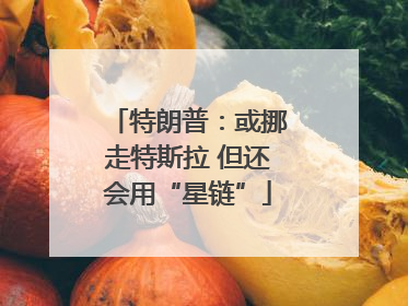 特朗普：或挪走特斯拉 但还会用“星链”