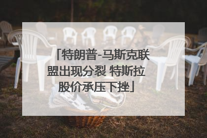 特朗普-马斯克联盟出现分裂 特斯拉股价承压下挫